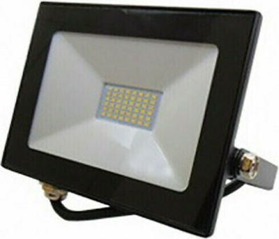 Led On LED Floodlight 30W Cold White 6500K