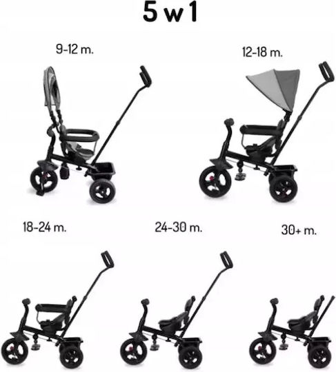 Momi Iris Convertible with Parental Handle 5 in 1 for 9 Months Gray