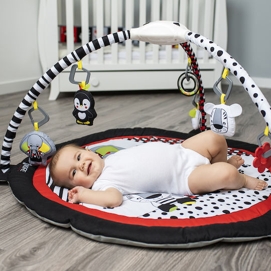 Babyono Baby Activity Gym for Newborns