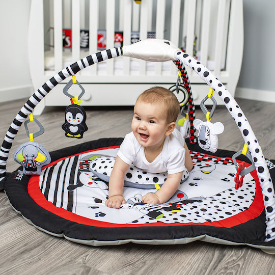Babyono Baby Activity Gym for Newborns