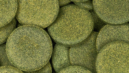 Sera Catfish XXL Bottom Fish Food Tablets with Spirulina 250ml