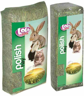 Lolo Pets Iarbă artificială pentru Iepure / Hamster 500gr