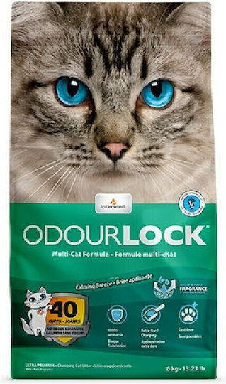 Intersand OdourLock Άμμος Γάτας Μπετονίτης 12kg