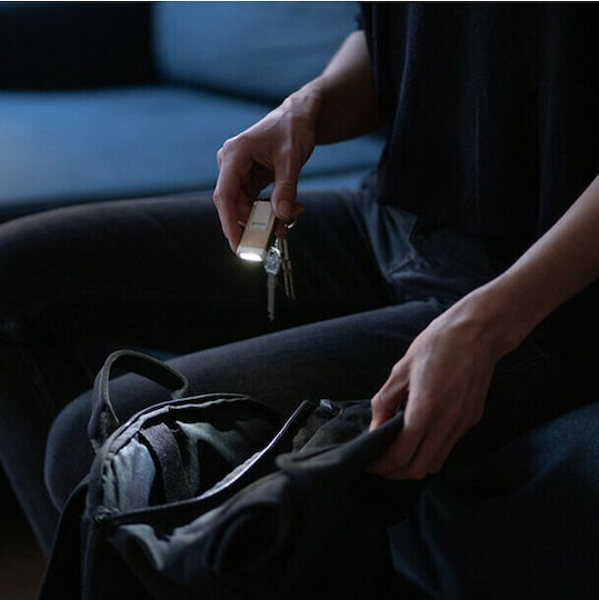 LedLenser Επαναφορτιζόμενος Φακός Μπρελόκ LED με Μέγιστη Φωτεινότητα 120lm K6R Rosegold
