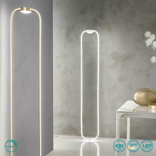 Ondaluce LED Floor Lamp H168xW28cm. with Warm White Light Gold