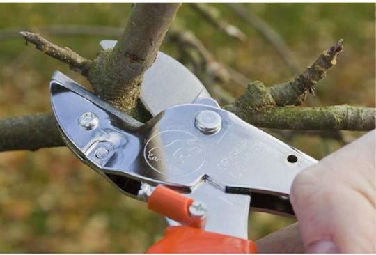 Lowe 1104 Pruning Shears Type Bypass Shears Length 21cm with Maximum Cutting Diameter 25mm