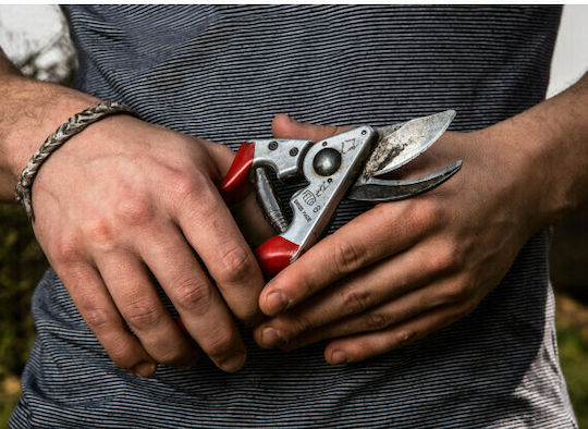 Felco 11 Baumschere Länge 21cm mit Maximalem Schnittdurchmesser 25mm