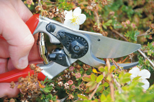 Felco 11 Baumschere Länge 21cm mit Maximalem Schnittdurchmesser 25mm