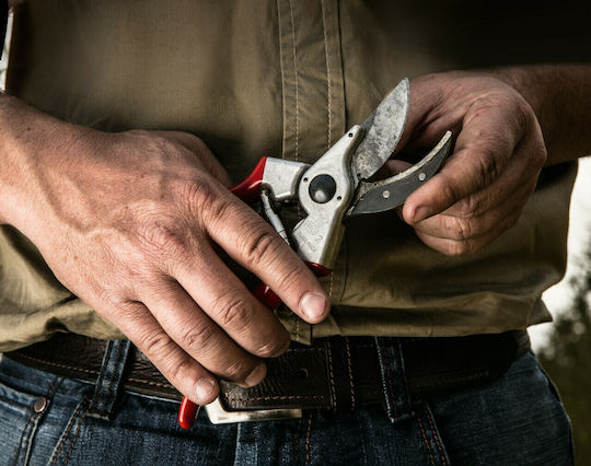 Felco 4 Pruning Shears Length 21cm with Maximum Cutting Diameter 25mm