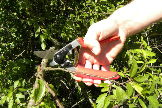 Felco 12 Pruning Shears Length 20cm with Maximum Cutting Diameter 20mm