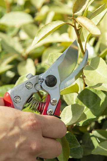Ars VS-8XR Pruning Shear Length 20cm with Maximum Cutting Diameter 22mm