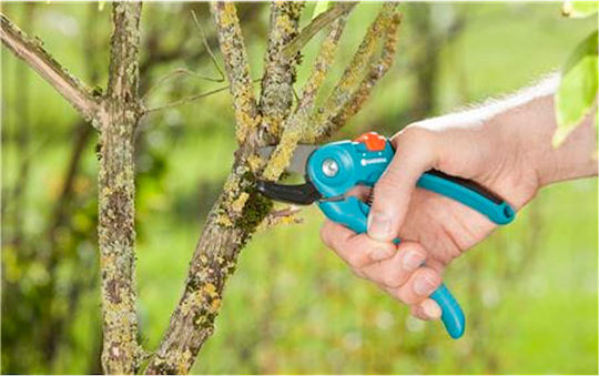 Gardena Classic Pruning Shears Length 24.6cm with Maximum Cutting Diameter 18mm