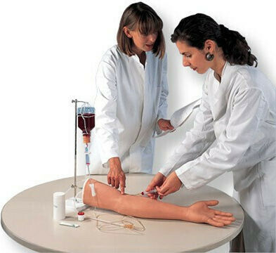 3b Scientific Πρόπλασμα Διαδραστικής Εκπαίδευσης & CPR