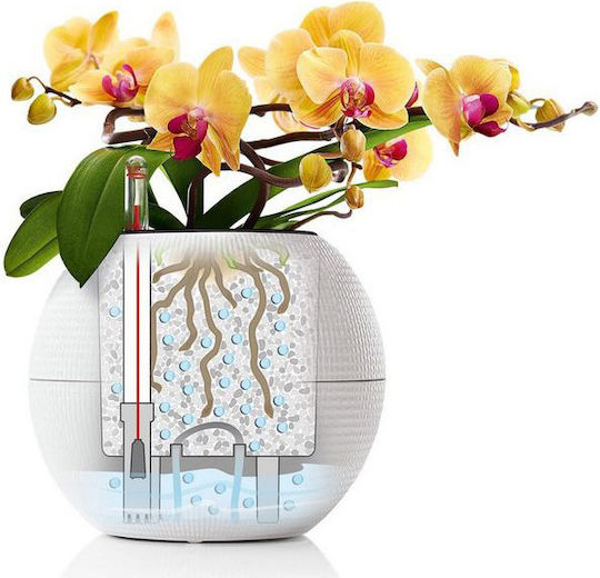 Lechuza Puro Self-watering Pot Plastic 20x20x16cm.