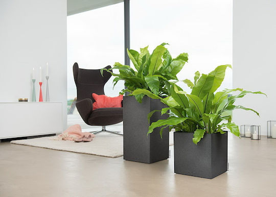 Lechuza Canto Stone High Graphite Black Αυτοποτιζόμενη Γλάστρα Πλαστική Μαύρη 30x30x56εκ.