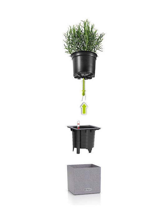 Lechuza Canto Stone Auto-udare Ghiveci Plastic 14x14x13.5cm.