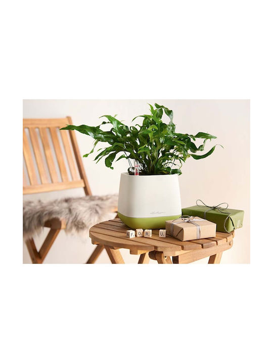 Lechuza Yula Self-watering Pot Plastic 16.5x16.5cm.