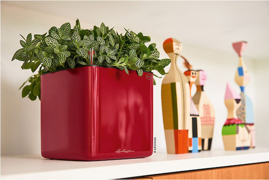 Lechuza Cube Glossy Αυτοποτιζόμενη Γλάστρα Πλαστική Κόκκινη 17x17x16εκ.