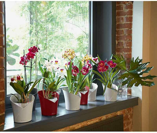 Lechuza Orchidea Self-watering Pot Plastic 18x18x20cm.