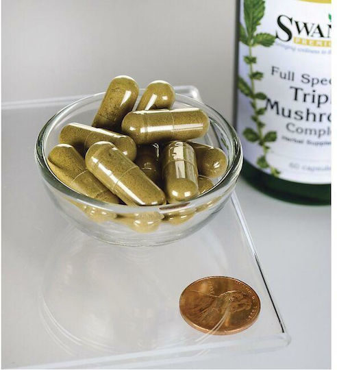 Swanson Komplex aus Dreifachpilzen Vollspektrum 600mg 60 Kapseln