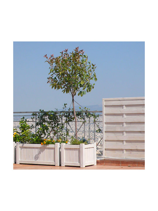 Showood Granada Pot Wooden 50x50x45cm.