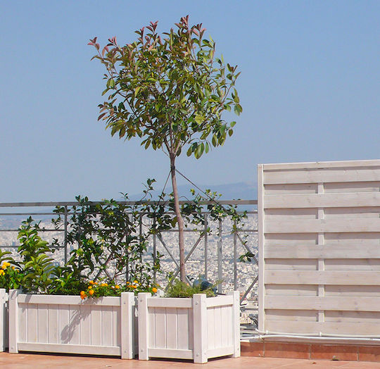 Showood Granada Ghiveci Lemn 50x50x45cm.
