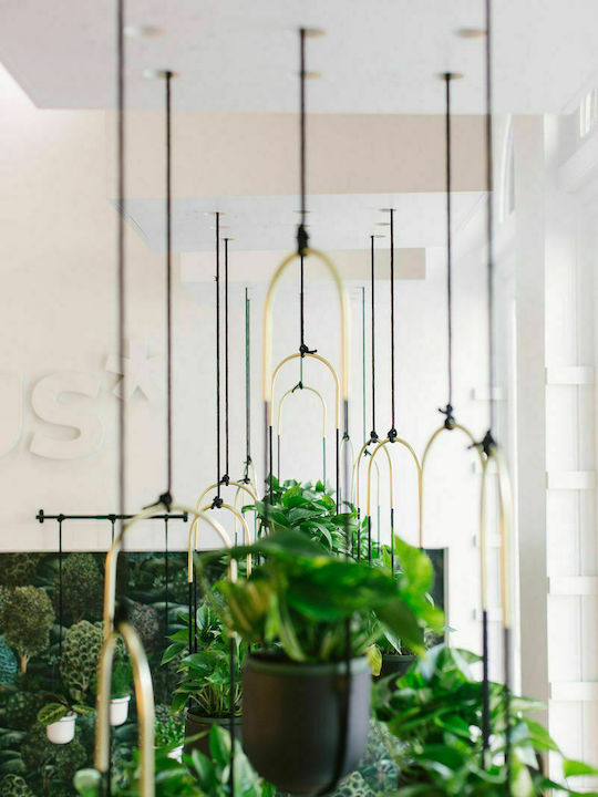 Umbra Bolo Hanging Planter Ceramic Black 15.9x15.9x62.2cm. Pendant