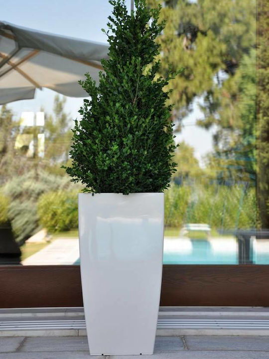 Ghiveci Plastic Alb 31x31x56.5εκ.