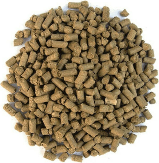 BBQ Delight Apple BBQ Smoking Pellet 450gr 1pcs