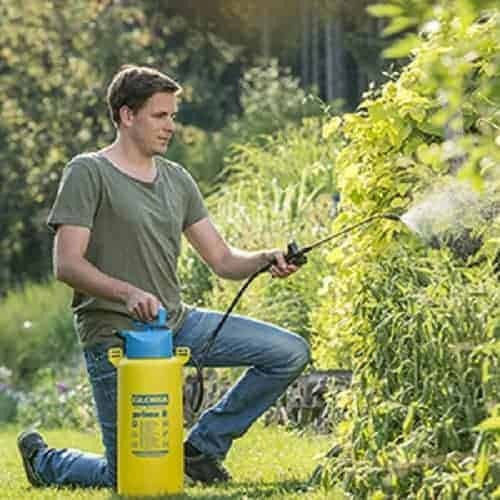 Gloria Prima 8 Drucksprüher mit Kapazität 8Es 3bar in Gelb Farbe