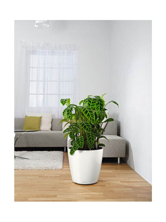 Lechuza Classico Self-watering Pot Plastic White 42x42x39.5cm.