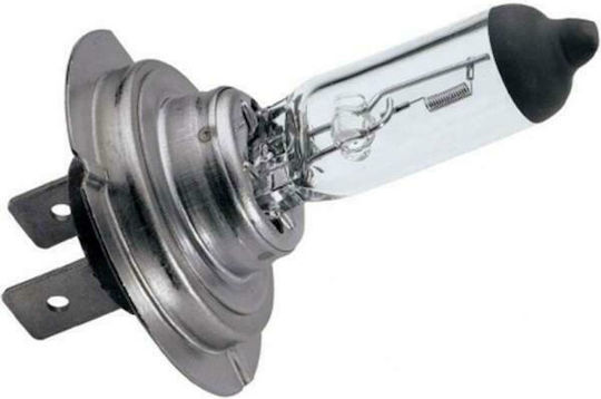 M-Tech Λάμπα Αυτοκινήτου & Μοτοσυκλέτας Standard H7 Αλογόνου 12V 55W