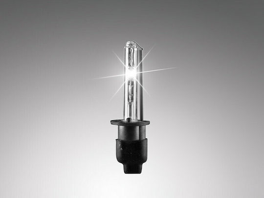 Carner Lamps Car & Motorcycle H1 Xenon 6000K Cold White 12-24V 35W 1pcs