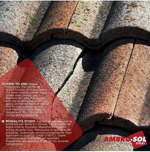 Ambro-Sol 571201.0013 Изолатор Спрей 500мл 1бр Прозрачен