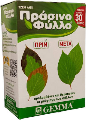 Gemma Granulat Îngrășământ Πράσινο Φύλλο Τζεμ Ληφ cu magneziu pentru conifere 0.5kg
