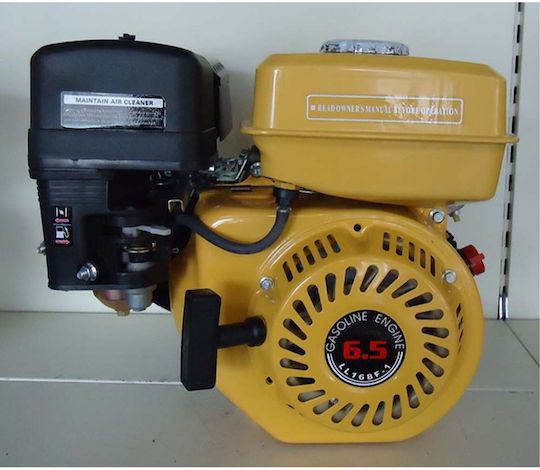 Lian Long LL168F1 Gasoline Engine 4 Stroke 196cc 6.5hp with Keyway and Starter (Tank 1.8lt)