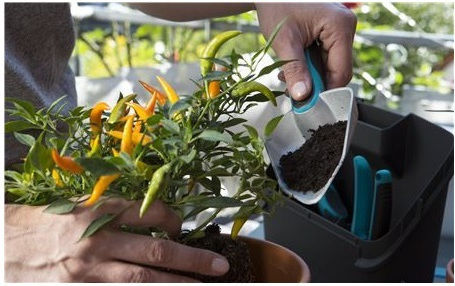 Gardena City Gardening Balcony Set Hand Garden Tool Sets 08970-20