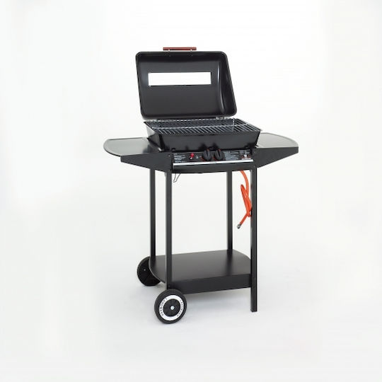 Grill Chef Wagon Portabilă Grătar pe gaz Grătar 48bucx37buccm cu 2 buc 2.75kW