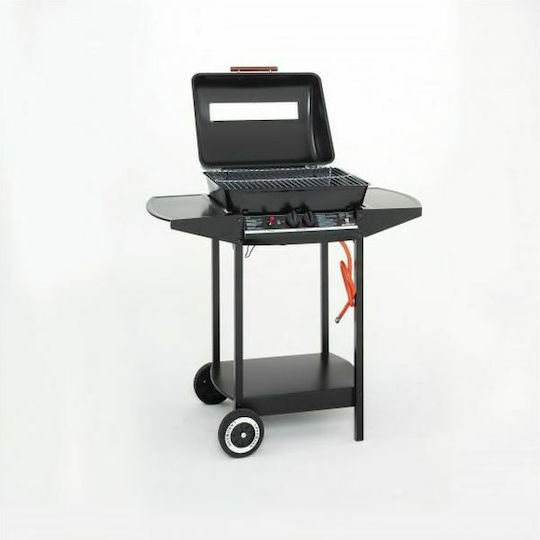 Grill Chef Wagon Portabilă Grătar pe gaz Grătar 48bucx37buccm cu 2 buc 2.75kW