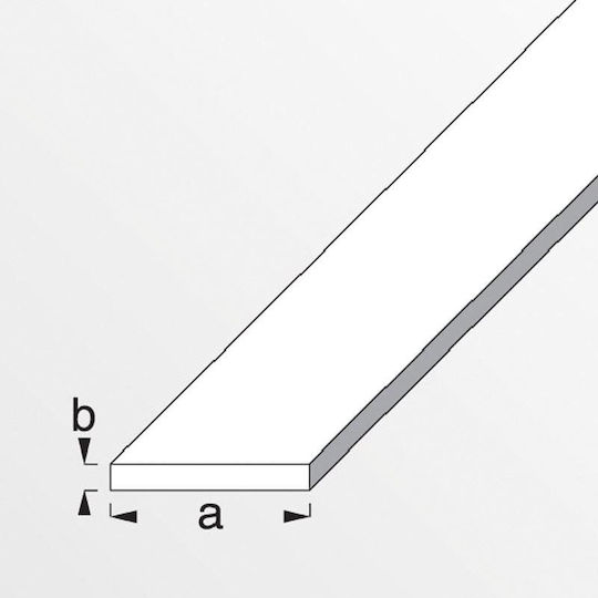 Alfer Aluminium Profile Aluminum Aluminum Flat Rod 25x2mm 1m 100x2.5x0.2cm