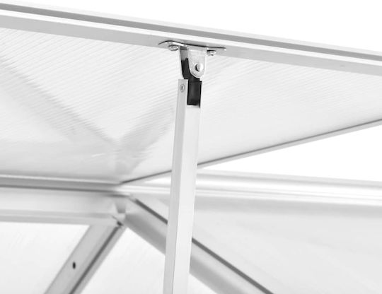 vidaXL 45217 Θερμοκήπιο Τύπου Σπίτι με Σκελετό Αλουμινίου 4.91x1.9x1.95m