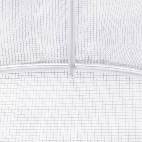 vidaXL 45748 Greenhouse Tunnel with Metal Frame 1.5x3x2m