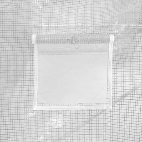 vidaXL 45748 Greenhouse Tunnel with Metal Frame 1.5x3x2m