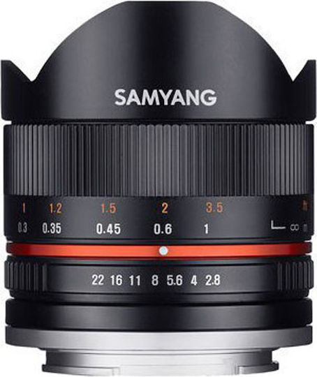 Samyang Crop Camera Lens 12mm f/2.0 NCS CS Wide Angle for Micro Four Thirds (MFT) Mount Black