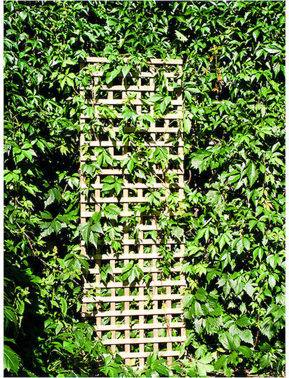 Trellis De Grădină Pentru Cățărare (6x6) Din Lemn Cu Design În Grilă Pătrat Bej 120x180cm