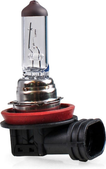 M-Tech Lămpi Autoturismului & Motocicletei Standard H16 Halogen 12V 19W 1buc