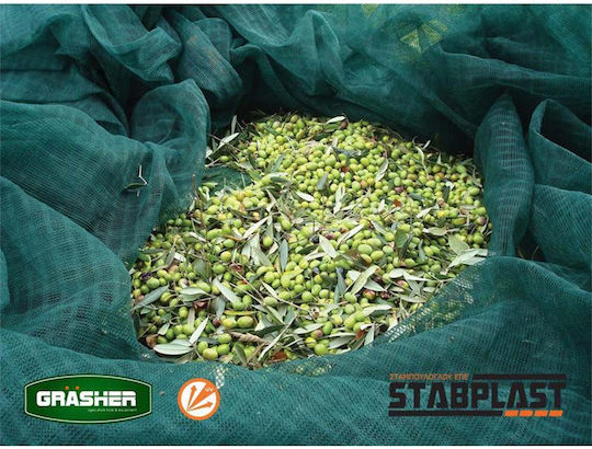 Grasher Ελαιόδιχτο από HDPE 5x12m με Κρίκους