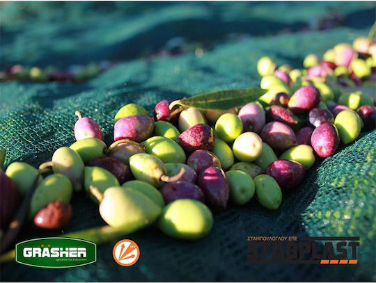 Grasher Ελαιόδιχτο από HDPE 5x12m με Κρίκους