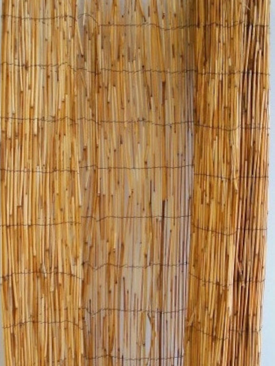 Ankor Καλαμωτή με Ολόκληρο Καλάμι 1x5m