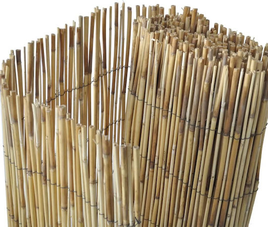 vidaXL Reed Fencing 1.5x5m